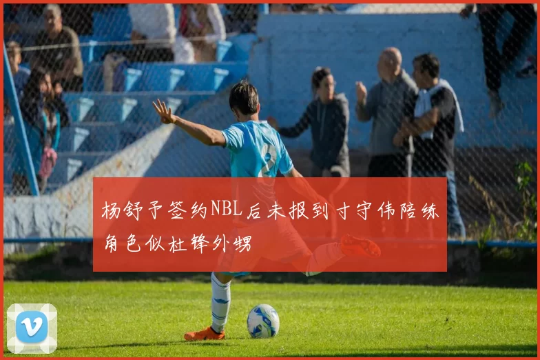 杨舒予签约NBL后未报到寸守伟陪练角色似杜锋外甥