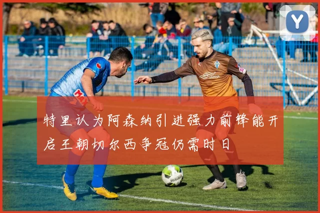 特里认为阿森纳引进强力前锋能开启王朝切尔西争冠仍需时日
